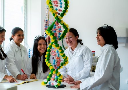 Nuestro colegio APDE Entrevalles