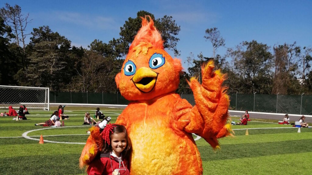 Contáctanos en Colegio APDE Entrevalles