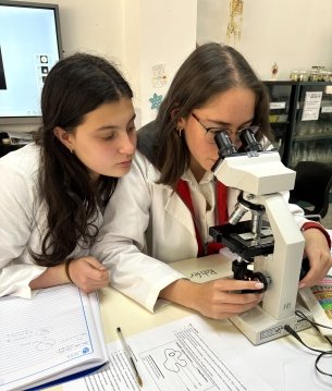 Bachillerato Internacional en APDE Entrevalles